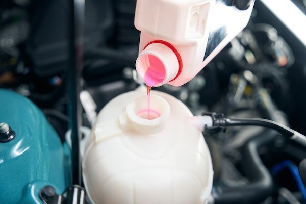 $25 off Any Fluid Exchange